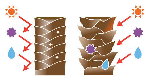 cuero cabelludo sano