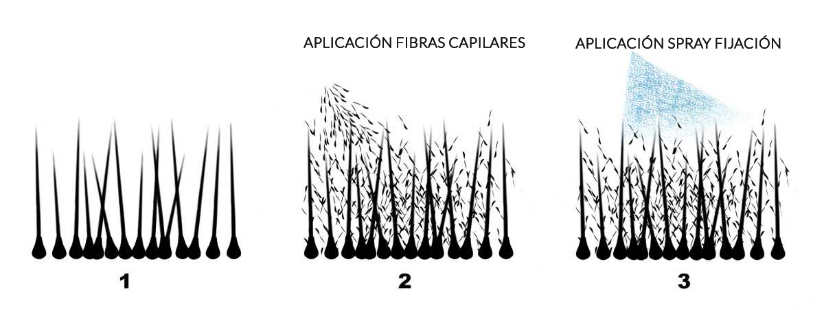 Representação gráfica do modo como as fibras capilares e o spray fixador actuam nos cabelos finos e ralos.